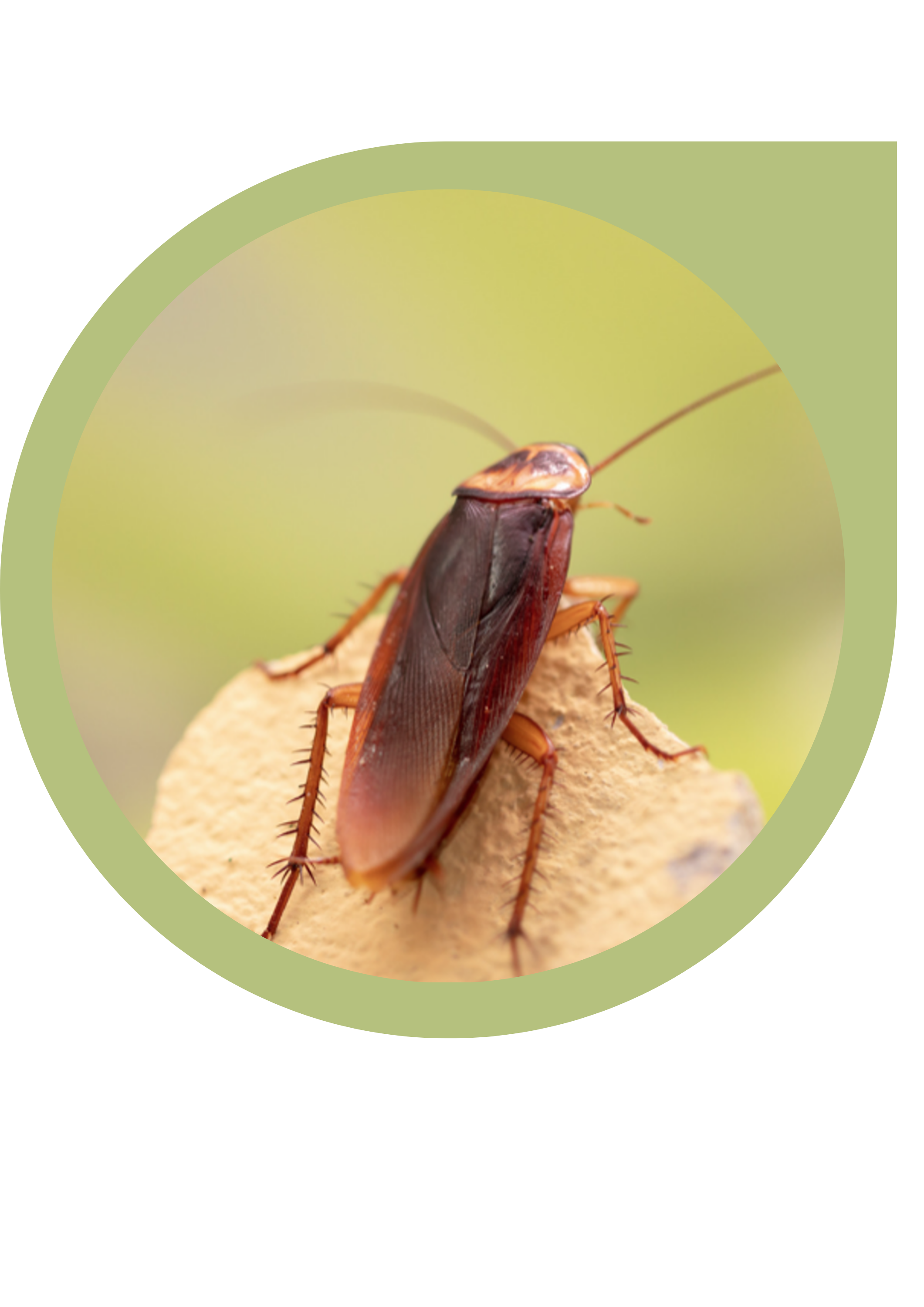 Dise-o-sin-t-tulo-8-.png